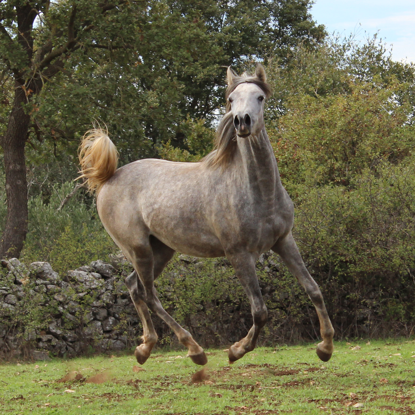 MONTICELLI ANNALISA - Foto 5
