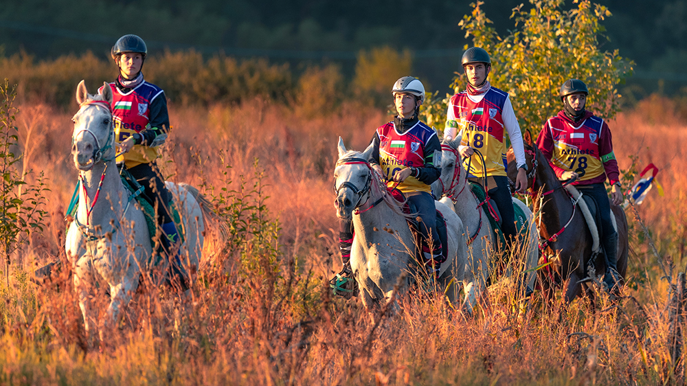 Circuito Allevatoriale Italiano Endurance 2026 ANICA