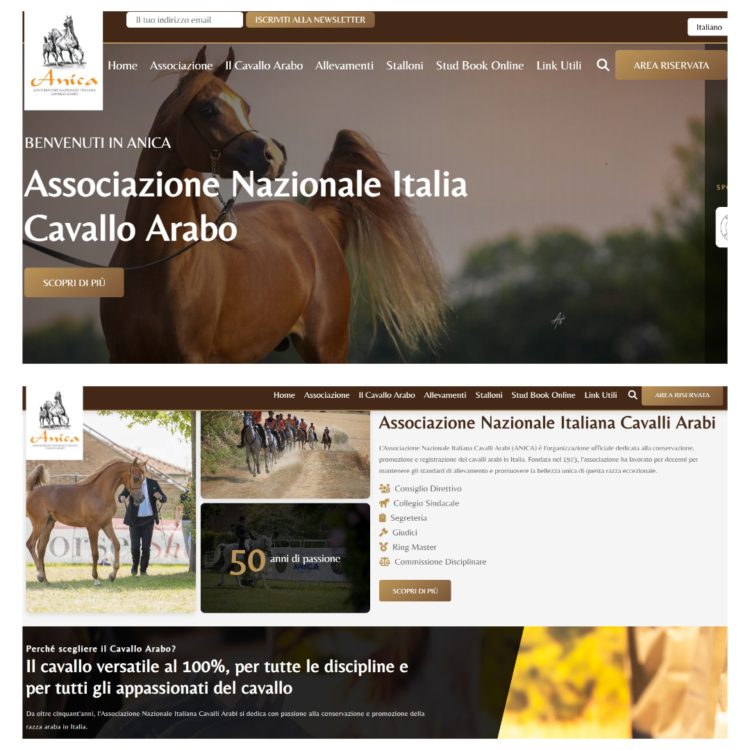 ANICA INVESTE SU NUOVI SERVIZI AI SOCI E UNA NUOVA IMMAGINE