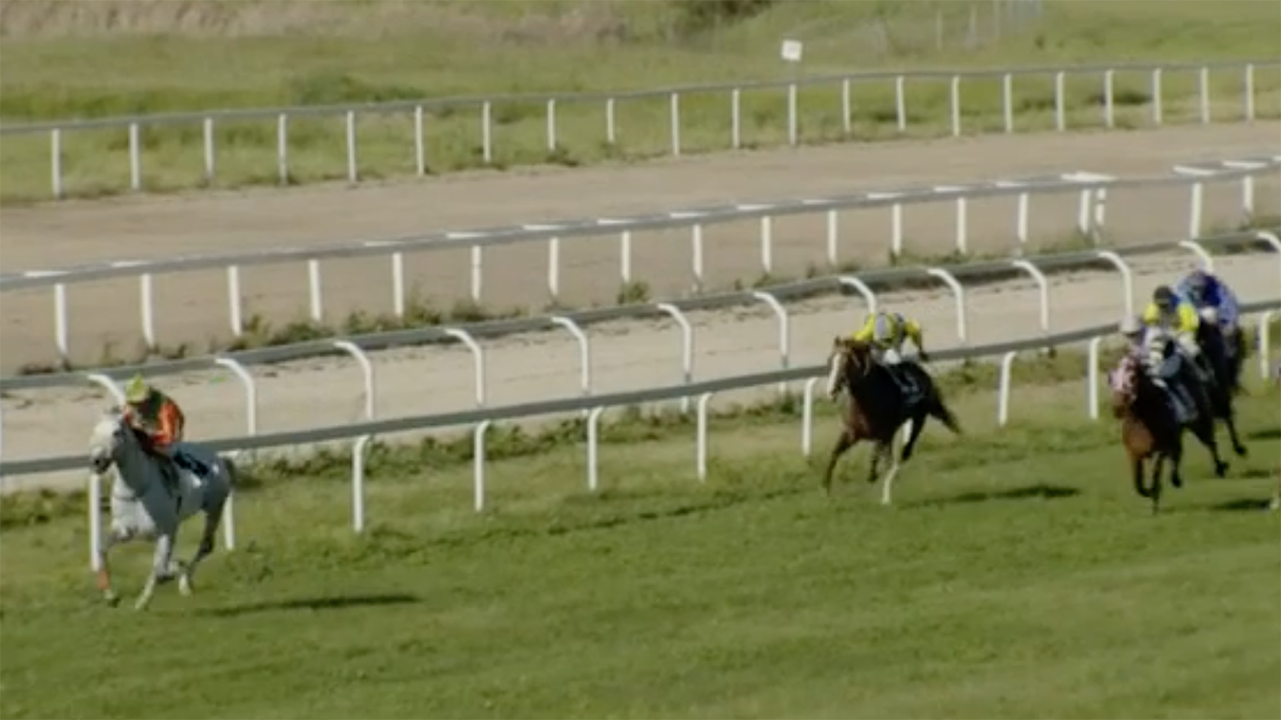 IL DELIRIO DI CHILIVANI