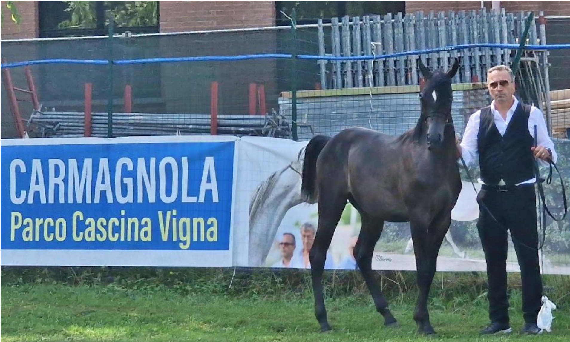 Parco Vigna Arabian Horse Show 2026