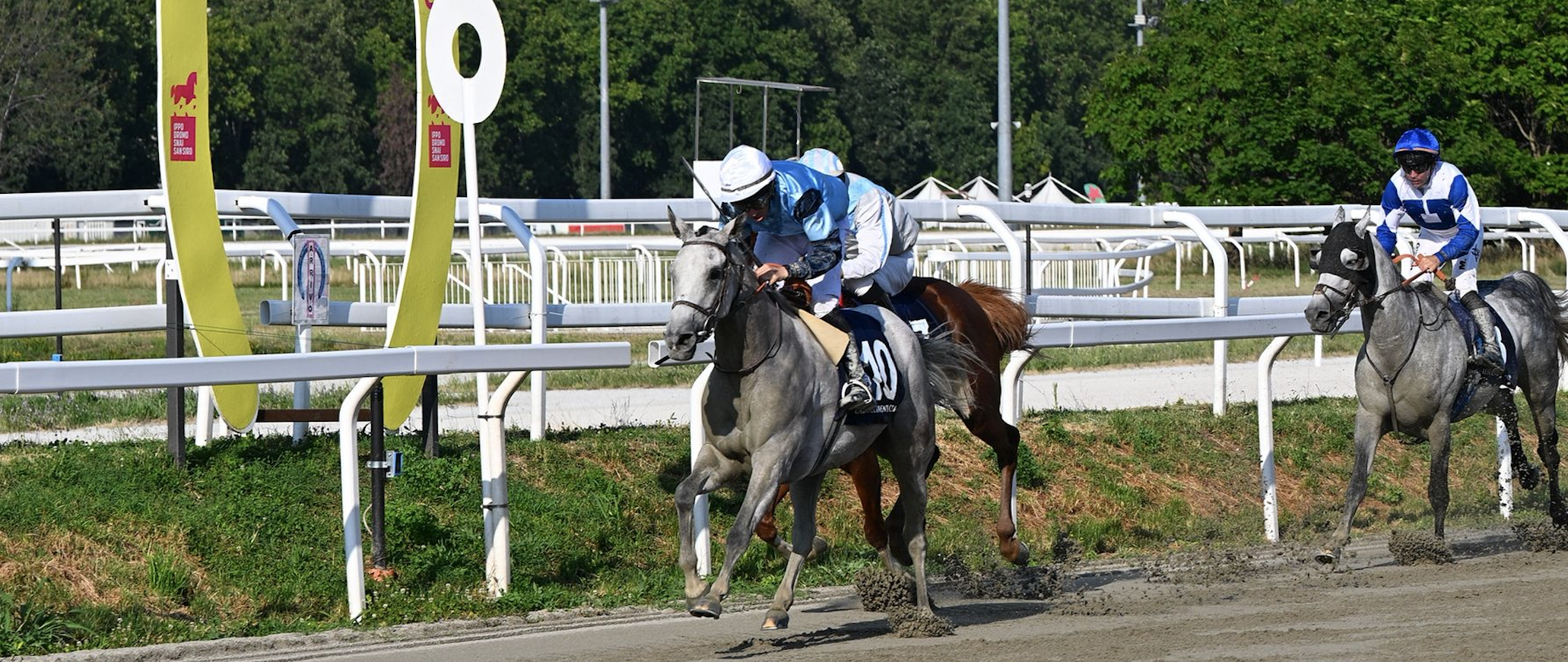 UN FINALE APPASSIONANTE: RB BURN THE BILL DIVENTA LA PRIMA FEMMINA A VINCERE LA UAE PRESIDENT CUP IN ITALIA
